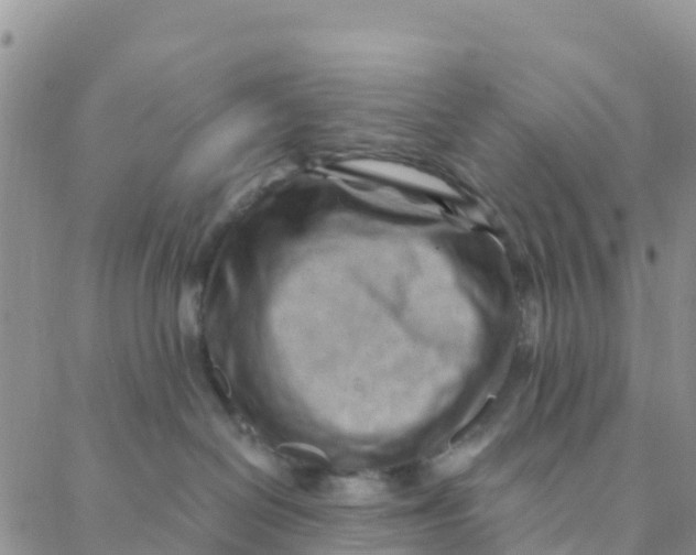 X0000088380286200706121153