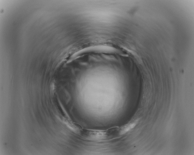 X0000088380288200706121153