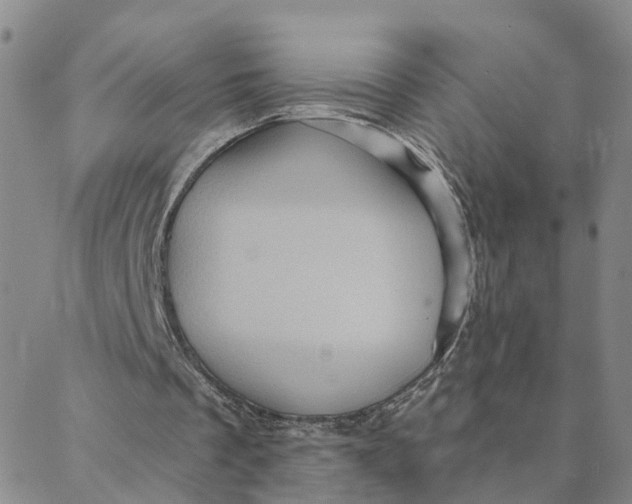 X0000088380289200706121152