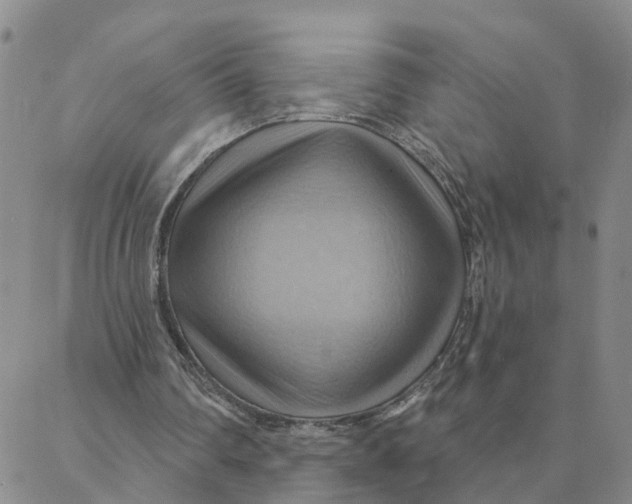 X0000088380290200706121152