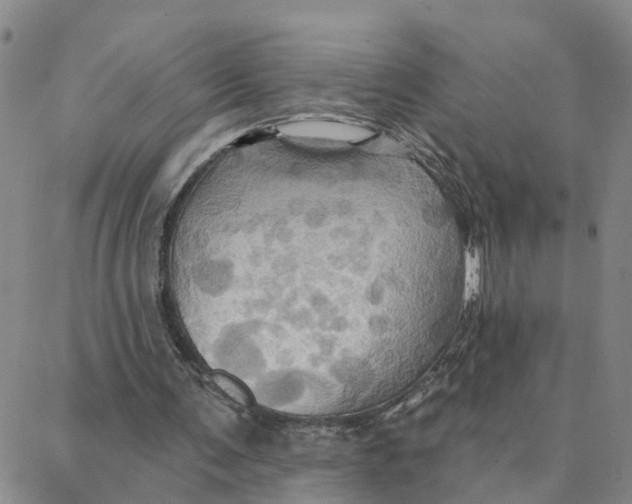 X0000088380291200706121152