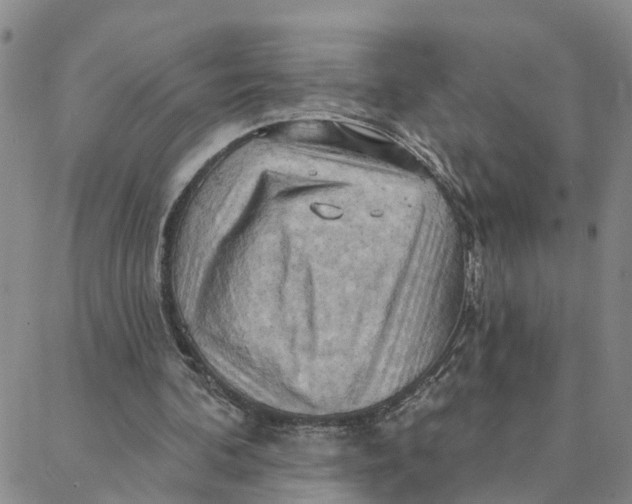 X0000088380292200706121152