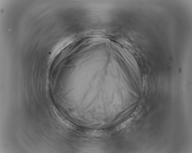 X0000088380293200706121152