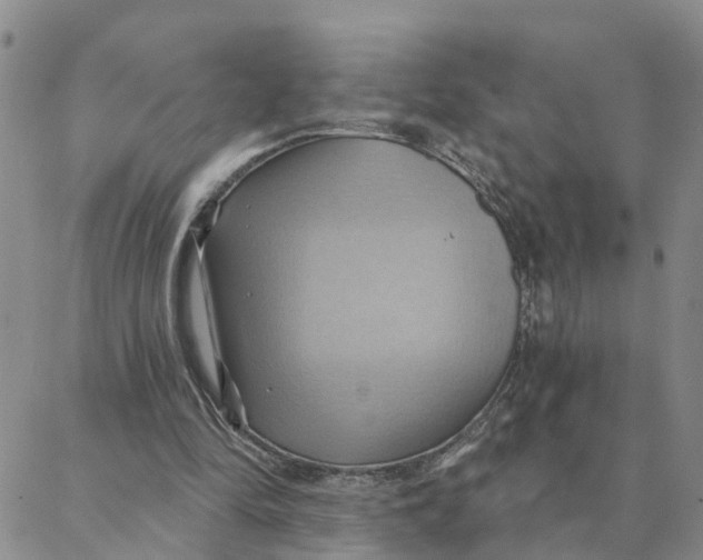 X0000088380294200706121152