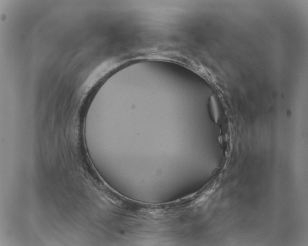 X0000088380295200706121152