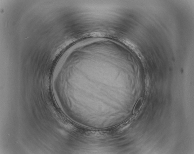 X0000088380297200706121152