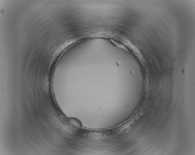 X0000088380298200706121152