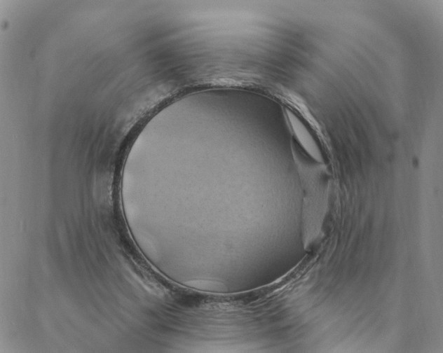 X0000088380299200706121152