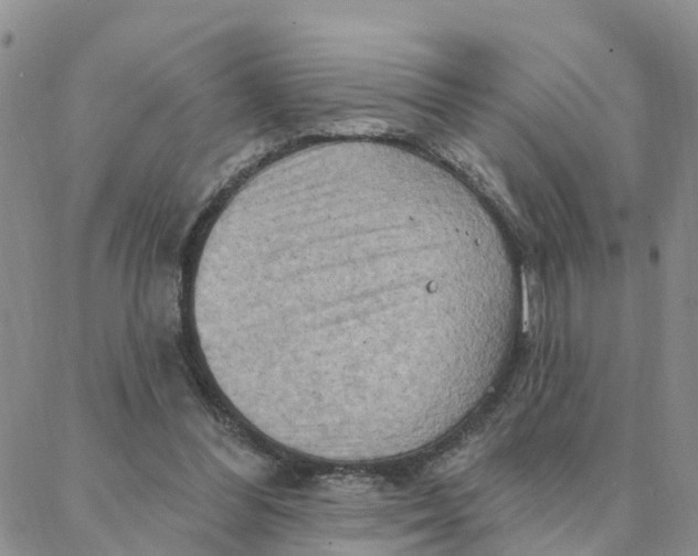 X0000088380300200706121152