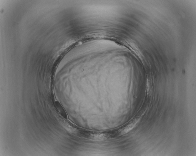 X0000088380301200706121152