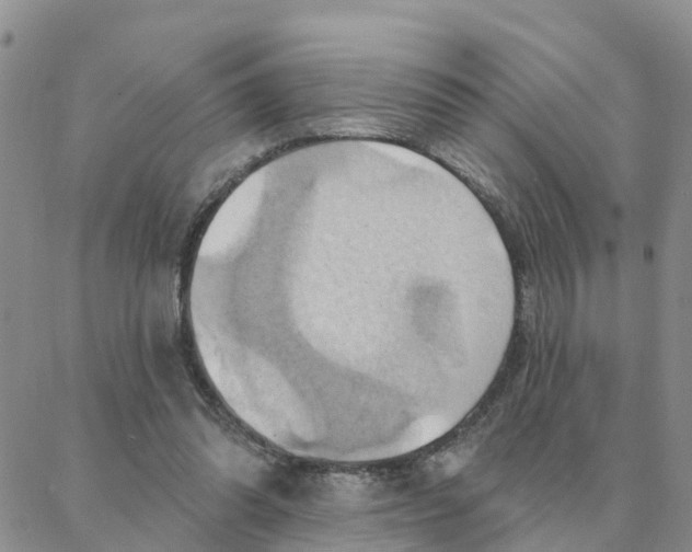 X0000088380302200706121152