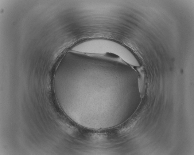 X0000088380303200706121152