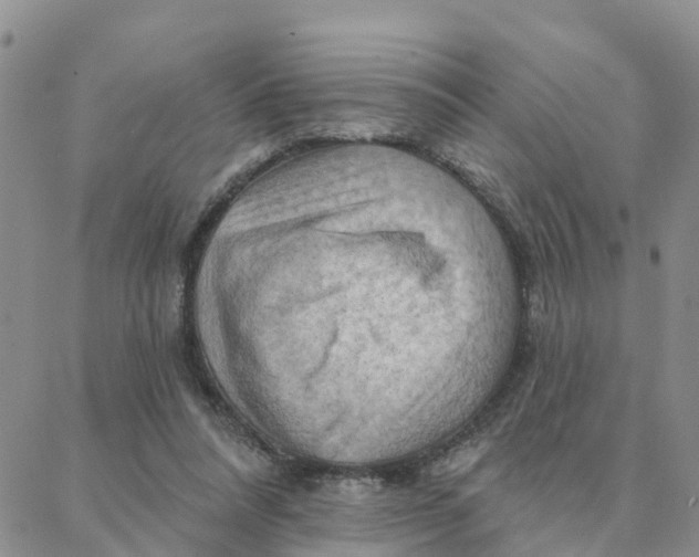 X0000088380304200706121152