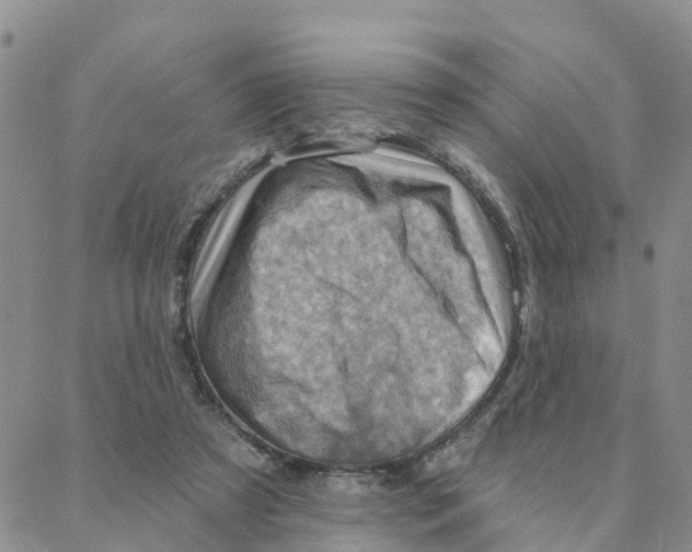 X0000088380305200706121152