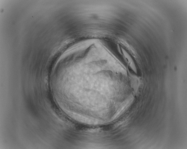 X0000088380306200706121152