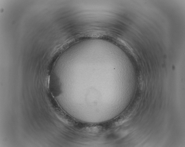 X0000088380307200706121152