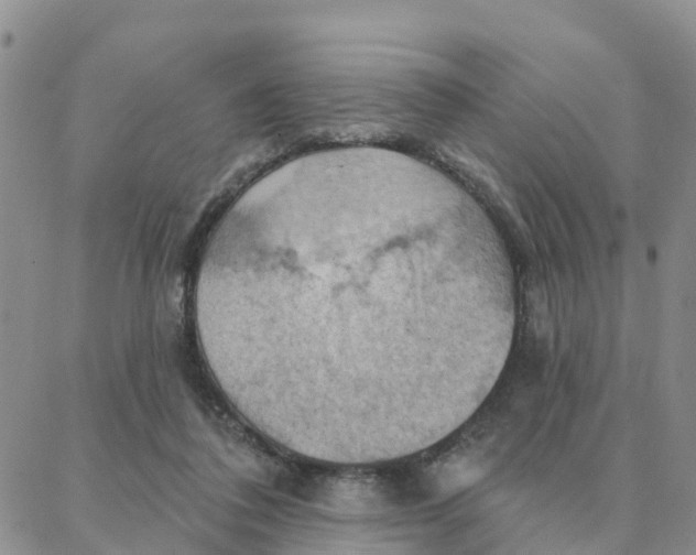 X0000088380308200706121151