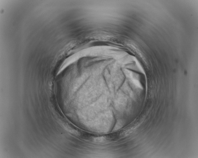 X0000088380309200706121151