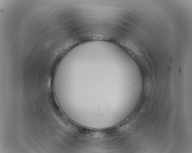 X0000088380310200706121151