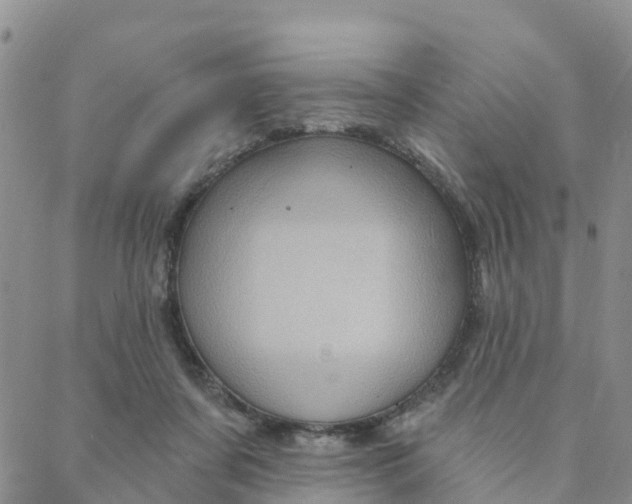 X0000088380311200706121151