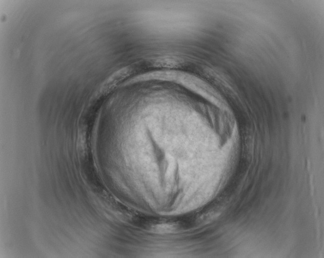 X0000088380312200706121151