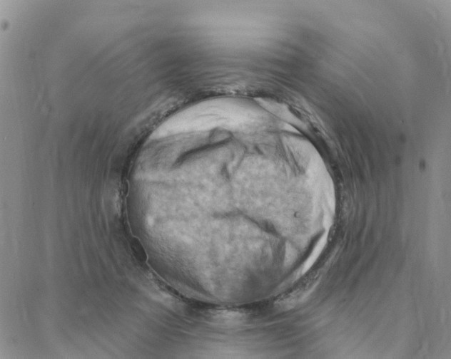 X0000088380313200706121151