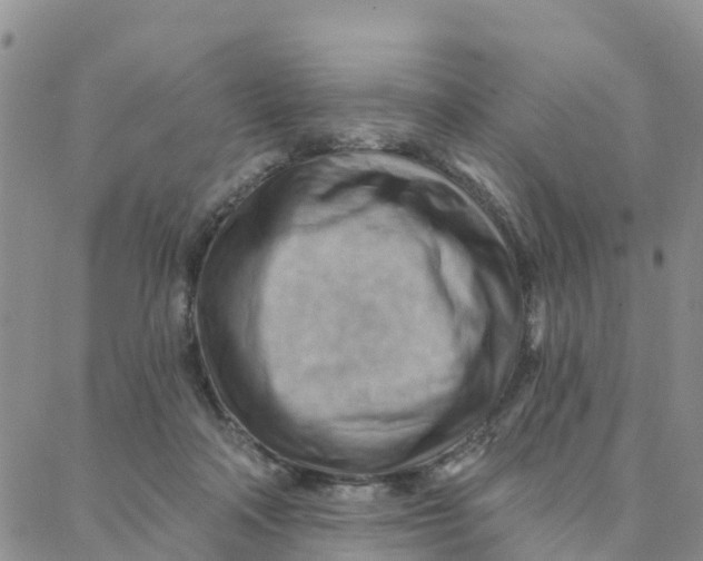 X0000088380314200706121151