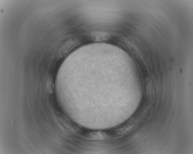 X0000088380316200706121151