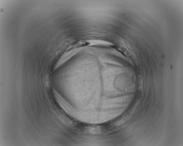 X0000088380317200706121151