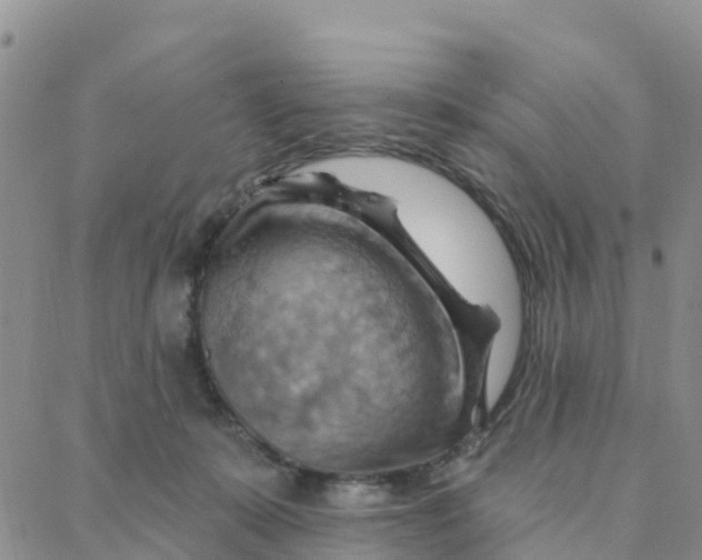 X0000088380319200706121151