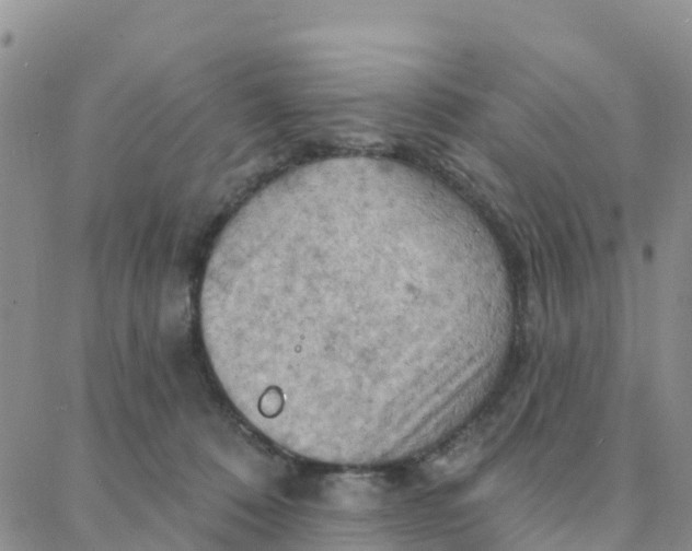 X0000088380320200706121151