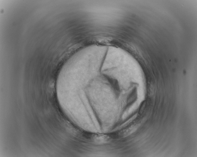 X0000088380321200706121151