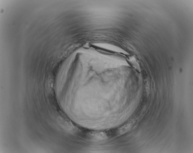 X0000088380322200706121151