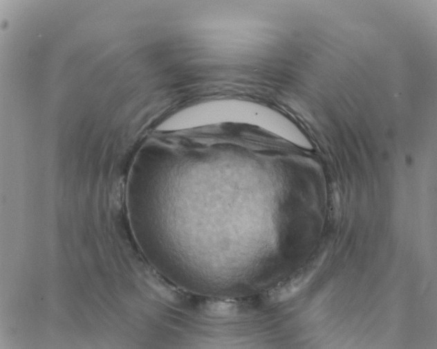 X0000088380325200706121151