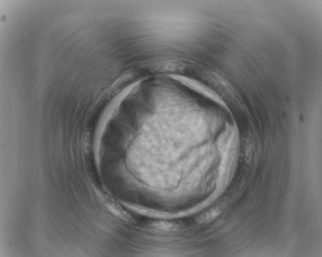 X0000088380326200706121151