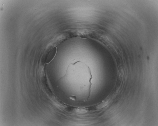 X0000088380327200706121151