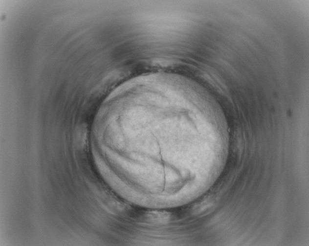 X0000088380328200706121151