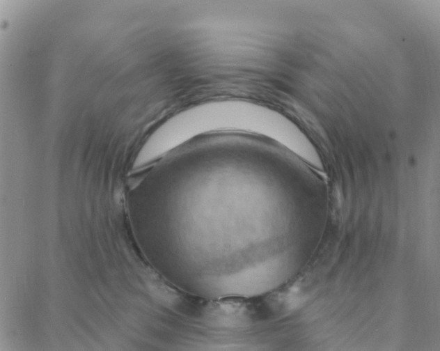 X0000088380329200706121151