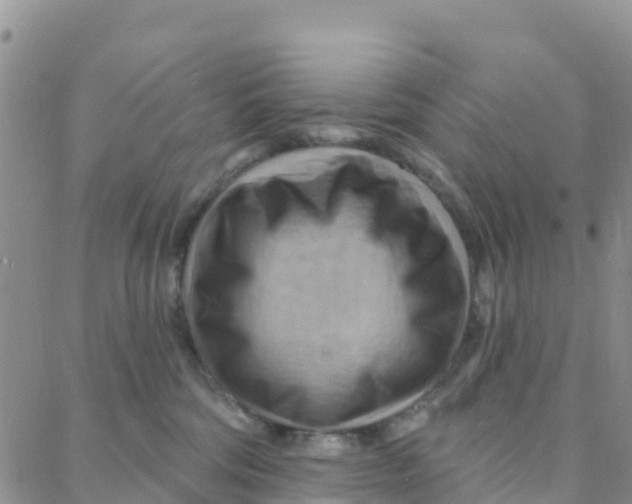 X0000088380330200706121151