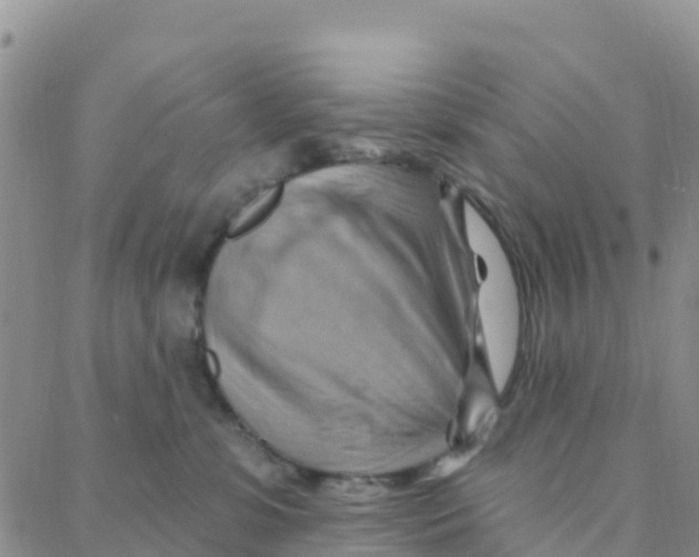 X0000088380331200706121151