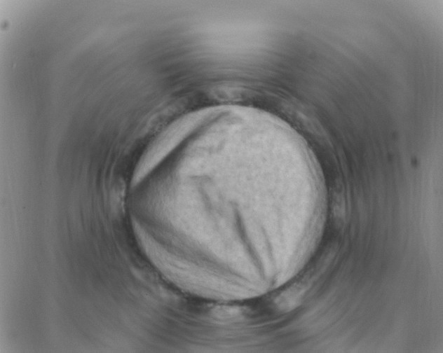 X0000088380332200706121151