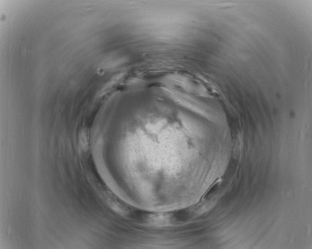 X0000088380335200706121151