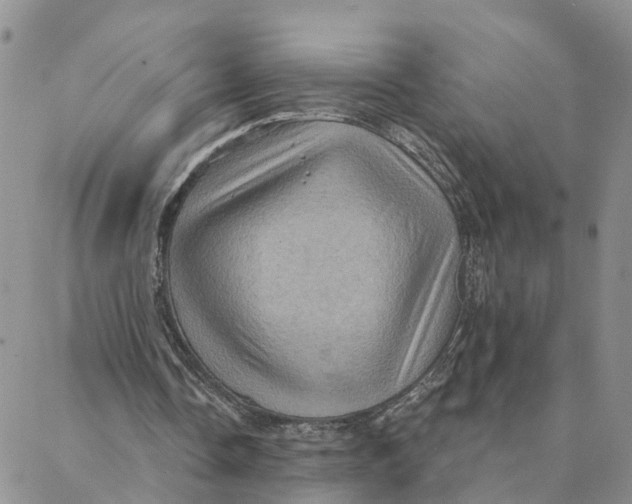 X0000088380338200706121150