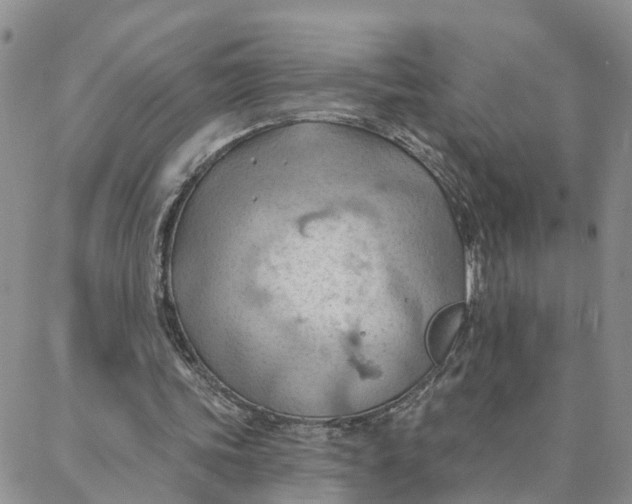 X0000088380339200706121150