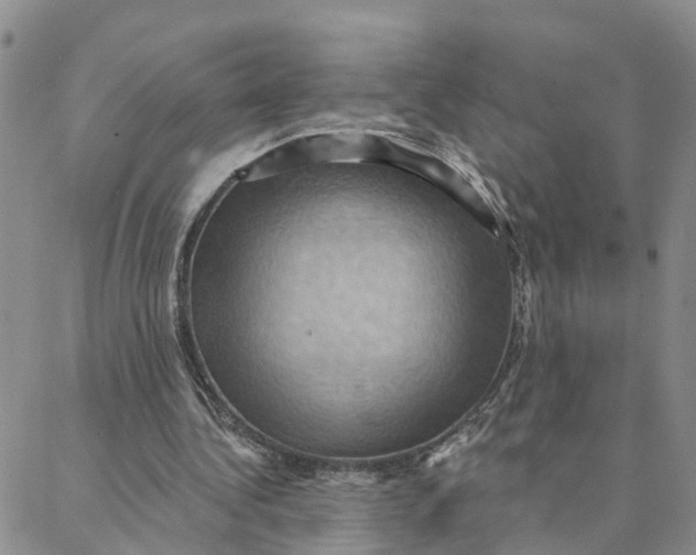 X0000088380340200706121150