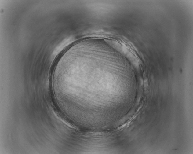 X0000088380344200706121150