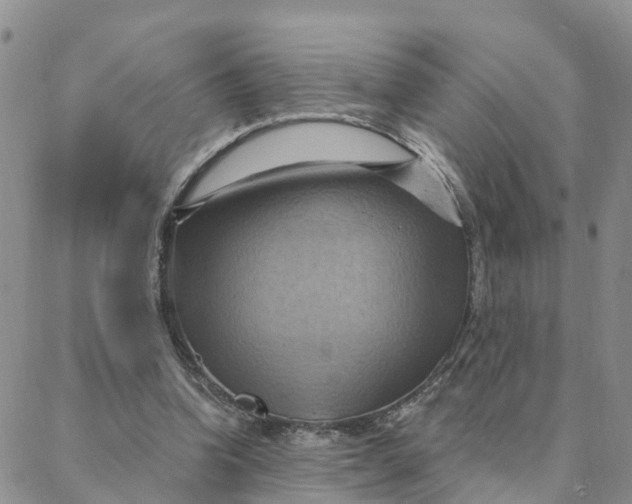 X0000088380346200706121150