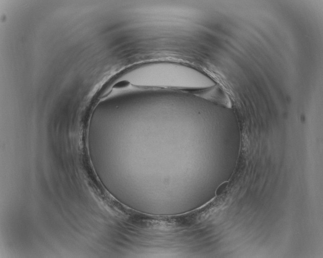 X0000088380347200706121150