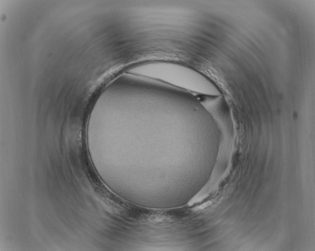 X0000088380348200706121150