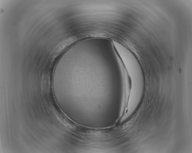 X0000088380349200706121150